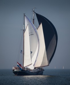 dageraad4